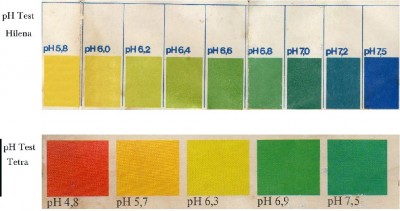Scale cromatiche pH.jpg