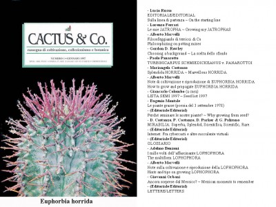 Cactus&Co 1997 (1) scheda.jpg