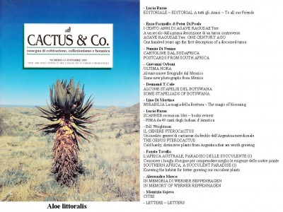 Cactus&Co 1997 (4) scheda.jpg