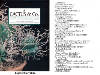 Cactus&Co 1998 (1) scheda.jpg