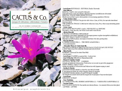 Cactus&Co 1999 (1) scheda.jpg