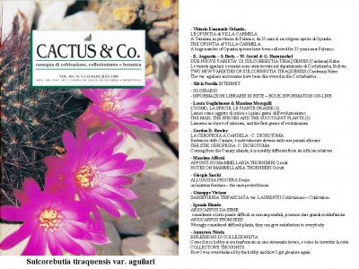 Cactus&Co 1999 (3) scheda.jpg