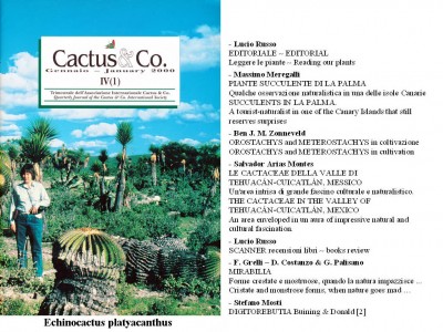 Cactus&Co 2000 (1) scheda.jpg