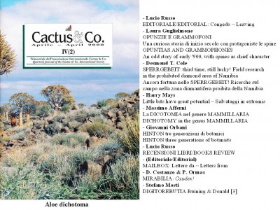 Cactus&Co 2000 (2) scheda.jpg