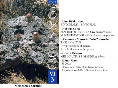 Cactus&Co 2002 (3) scheda.jpg