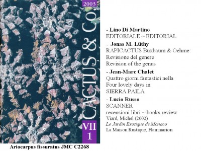 Cactus&Co 2003 (1) scheda.jpg
