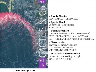 Cactus&Co 2003 (3) scheda.jpg