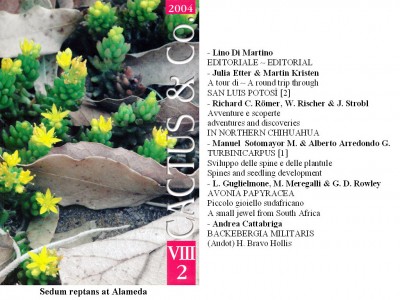 Cactus&Co 2004 (2) scheda.jpg