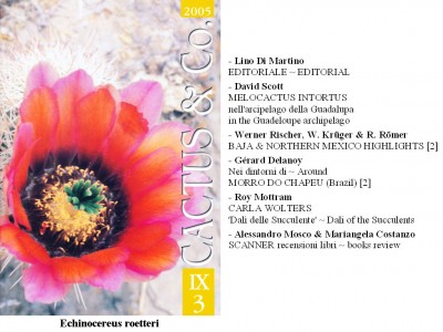 Cactus&Co 2005 (3) scheda.jpg