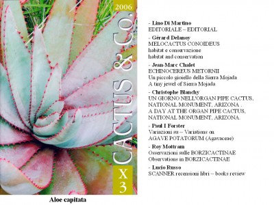Cactus&Co 2006 (3) scheda.jpg