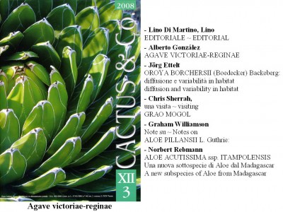 Cactus&Co 2008 (3) scheda.jpg