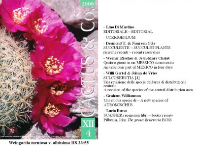 Cactus&Co 2008 (4) scheda.jpg