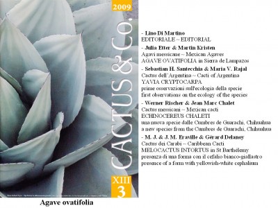 Cactus&Co 2009 (3) scheda.jpg