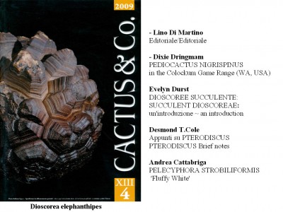 Cactus&Co 2009 (4) scheda.jpg