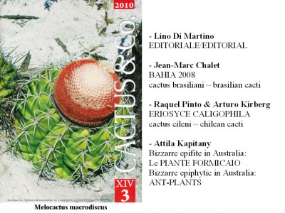Cactus&Co 2010 (3) scheda.jpg