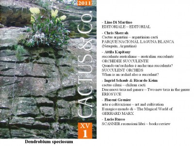 Cactus&Co 2011 (1) scheda.jpg