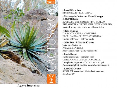 Cactus&Co 2011 (2) scheda.jpg