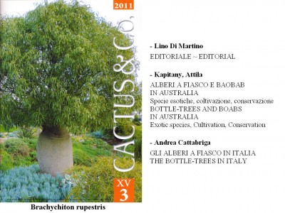 Cactus&Co 2011 (3) scheda.jpg