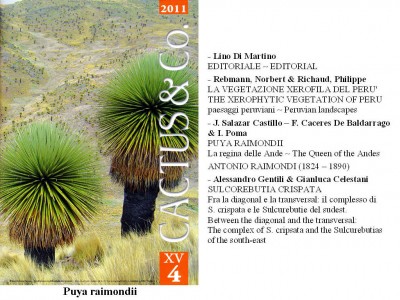 Cactus&Co 2011 (4) scheda.jpg