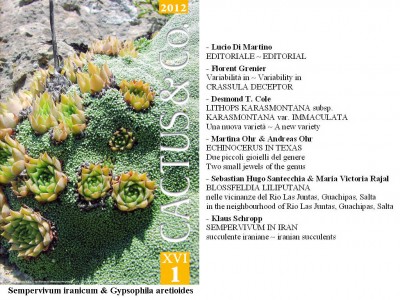 Cactus&Co 2012 (1) scheda.jpg