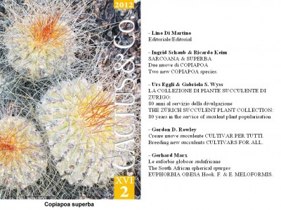 Cactus&Co 2012 (2) scheda.jpg