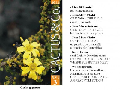 Cactus&Co 2012 (3) scheda.jpg