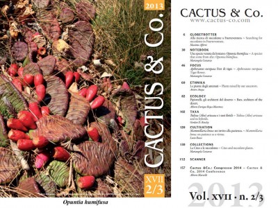 Cactus&Co vol. XVII (2-3) 2013 copertina e sommario.jpg